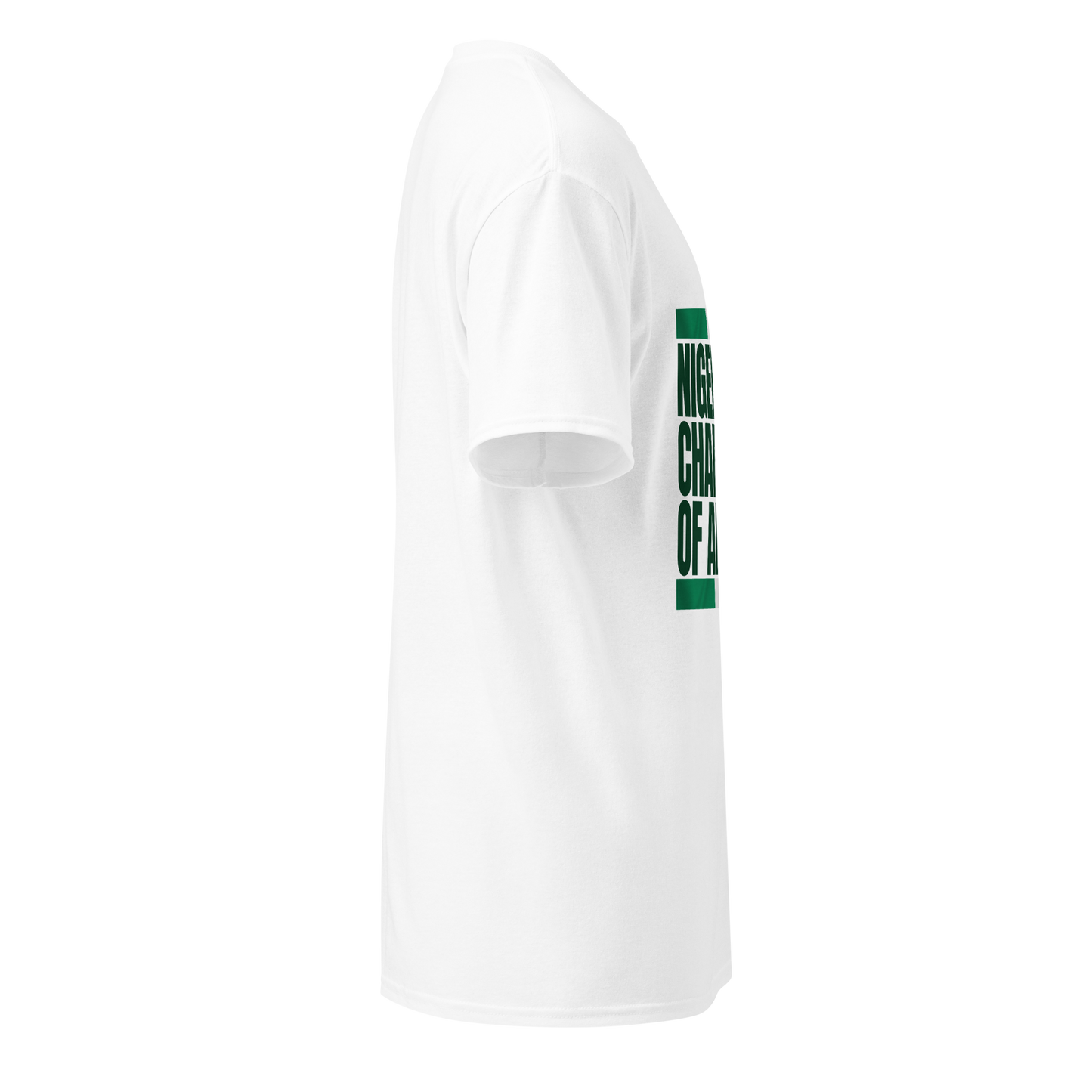 Nigeria Falcons WAFCON 2024 Champions of Africa T-Shirt